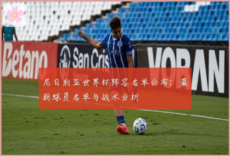 尼日利亚世界杯阵容名单公布:最新球员名单与战术分析