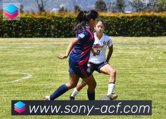 开云官方手机网页版品牌故事