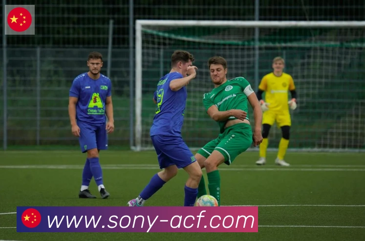 开云官方手机网页版服务体系