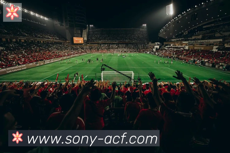 开云官方手机网页版荣誉