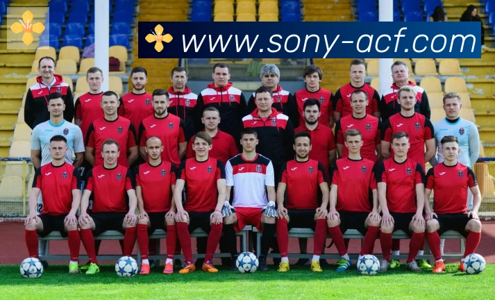 开云官方手机网页版荣誉